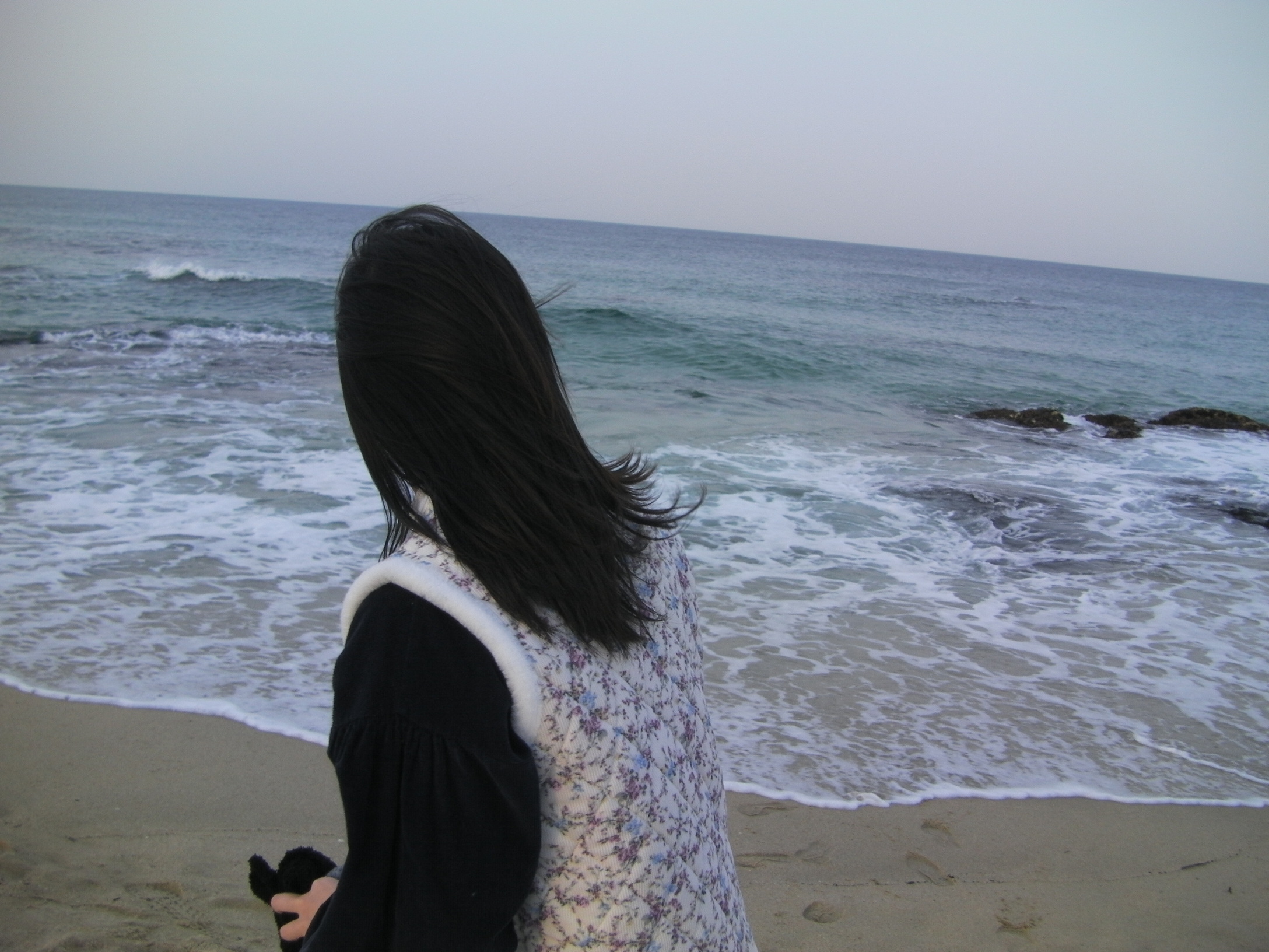 sanyo xacti ca100 | 2026